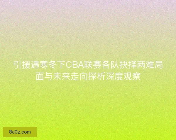 引援遇寒冬下CBA联赛各队抉择两难局面与未来走向探析深度观察