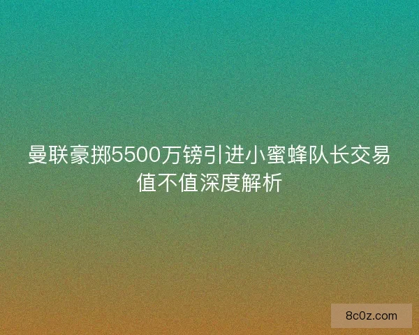 曼联豪掷5500万镑引进小蜜蜂队长交易值不值深度解析