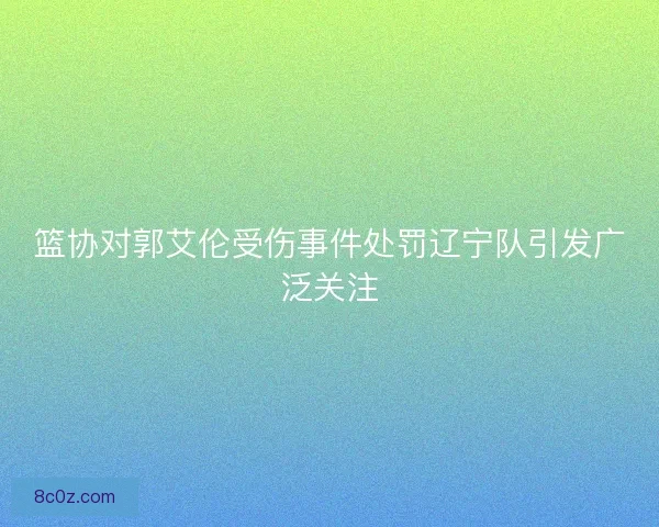 篮协对郭艾伦受伤事件处罚辽宁队引发广泛关注